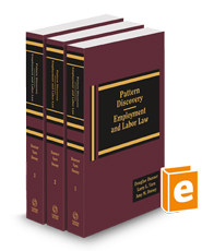 Pattern Discovery: Employment and Labor Law, 2024-2025 ed.