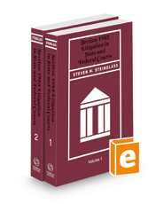 Section 1983 Litigation in State and Federal Courts, 2021-2022 ed.