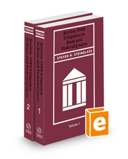 Section 1983 Litigation in State and Federal Courts, 2022-2023 ed.