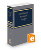 Child Custody Practice and Procedure, 2023 ed.