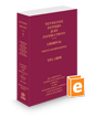 Tennessee Pattern Jury Instructions - Criminal, 28th, 2024 ed. (Vol. 7, Tennessee Practice Series)