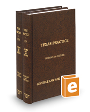 Juvenile Law and Practice, 3d (Vols. 29 and 29A, Texas Practice Series)