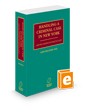 Handling A Criminal Case in New York, 2024-2025 ed.