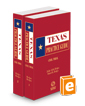 Civil Trial, 2024 ed. (Texas Practice Guide)