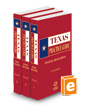Financial Transactions, 2023-2024 ed. (Texas Practice Guide)