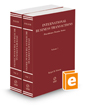 International Business Transactions, 2022-2023 ed. (Practitioner Treatise Series)