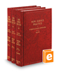 Evidence Rules Annotated, Revised 3d (Vols. 2B, 2C, and 2D New Jersey Practice Series)
