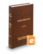 Texas Foreclosure: Law and Practice, 2d (Vol. 15, Texas Practice Series)