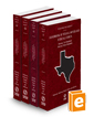 Handbook of Texas Lawyer and Judicial Ethics: Attorney Tort Standards, Attorney Ethics Standards, Judicial Ethics Standards, Recusal and Disqualification of Judges, 2024 ed. (Vol. 48-48C, Texas Practice Series®)