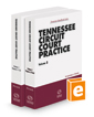 Tennessee Circuit Court Practice, 2022-2023 ed.