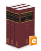 Fraudulent Transfers, Prebankruptcy Planning and Exemptions, 2024-2025 ed.