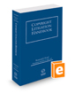 Copyright Litigation Handbook, 2022-2023 ed.