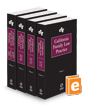 California Family Law Practice, 2024-2 ed.