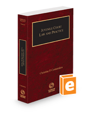 Juvenile Court Law and Practice, 2023-2024 ed. (Vol. 4, Nebraska Practice Series)