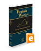 Tort and Personal Injury Law, 2024 ed. (Vol. 13, Virginia Practice Series™)