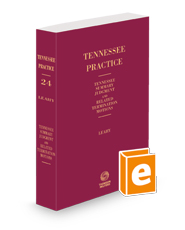 Tennessee Summary Judgment and Related Termination Motions, 2023-2024 ed. (Vol. 24, Tennessee Practice Series)