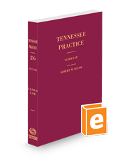 Elder Law, 2024-2025 ed. (Vol. 26, Tennessee Practice Series)