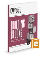 Building Blocks: Essential Tools for the Bankruptcy Practitioner