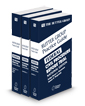 Federal Civil Procedure Before Trial, National Edition, 2025 ed. (The Rutter Group Practice Guide)