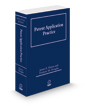 Patent Application Practice, 2d, 2024-2025 ed.