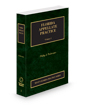 Florida Appellate Practice, 2025 ed. (Vol. 2, Florida Practice Series)