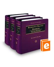 Bankruptcy Practice Handbook, 2d