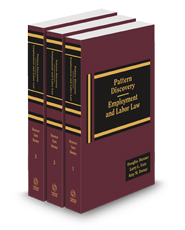 Pattern Discovery: Employment and Labor Law, 2024-2025 ed.