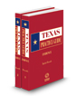 Evidence, 2023-2024 ed. (Texas Practice Guide)