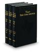 Vernon's® Texas Statutes and Codes Annotated (Annotated Statute & Code Series)