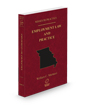 Employment Law and Practice, 2024-2025 ed. (Vol. 37, Missouri Practice Series)