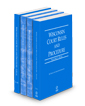 Wisconsin Court Rules and Procedure - State, Federal, Federal KeyRules, and Local, 2025 ed. (Vols. I-III, Wisconsin Court Rules)