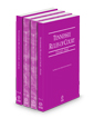 Tennessee Rules of Court - State, Federal, Federal KeyRules, and Local, 2024 ed. (Vols. I-III, Tennessee Court Rules)