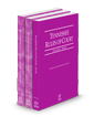 Tennessee Rules of Court - State, Federal and Federal KeyRules, 2024 ed. (Vols. I-IIA, Tennessee Court Rules)