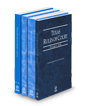 Texas Rules of Court - State, Federal, Federal KeyRules and Local, 2024 ed. (Vols. I-III, Texas Court Rules)