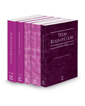 Texas Rules of Court - State, Federal, Federal KeyRules, Local and Local KeyRules, 2023 ed. (Vols. I-IIIA, Texas Court Rules)