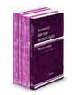 McKinney's New York Rules of Court - State, Federal District, Federal Bankruptcy and Federal District KeyRules, 2025 ed. (Vols. I, II, IIA, IIB, New York Court Rules)