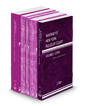 McKinney's New York Rules of Court - State, Federal District Courts, Federal Bankruptcy Courts, Federal District Courts KeyRules and Local, 2025 ed. (Vols. I, II, IIA, IIB & III, New York Court Rules)