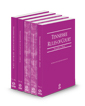 Tennessee Rules of Court - State, Federal, Federal KeyRules, Local and Local KeyRules, 2024 ed. (Vols. I-IIIA, Tennessee Court Rules)