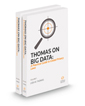 Thomas On Big Data: A Practical Guide To Global Privacy Laws, 2021 ed.