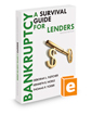 Bankruptcy - A Survival Guide for Lenders, 2d