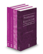 Pennsylvania Rules of Court - State, Federal, Local Eastern and Local Eastern KeyRules, 2024 revised ed. (Vols. I, II, IIIC and IIID, Pennsylvania Court Rules)